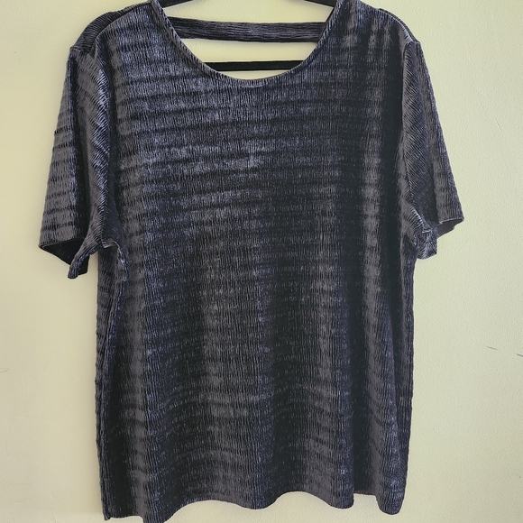Fourteenth Place Elegant Women's Black Velour Short Sleeved Top Size X-Large - Picture 1 of 9